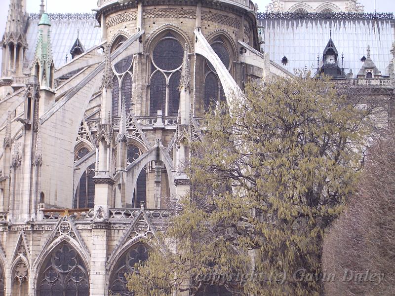 Cathédrale Notre Dame de Paris IMGP7332.JPG